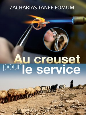 cover image of Dans le Creuset en Vue du Service